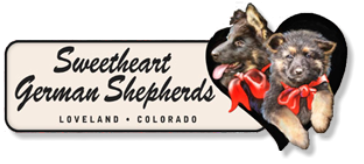 Sweetheart German Shepherds - Loveland Colorado
